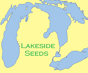 Lakeside Seeds